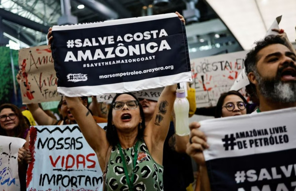 5 Perdebatan ACTO dalam Menyelamatkan Habibat Amazon