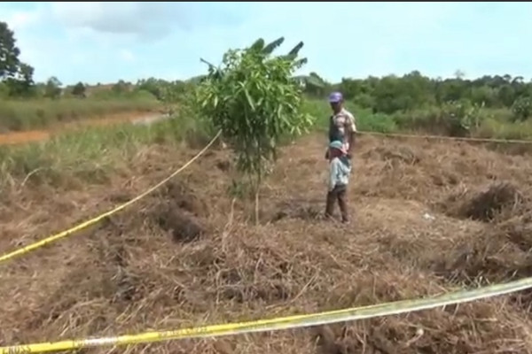 Tanjungpinang Gempar! Bersihkan Kebun, Warga Temukan Kerangka Manusia