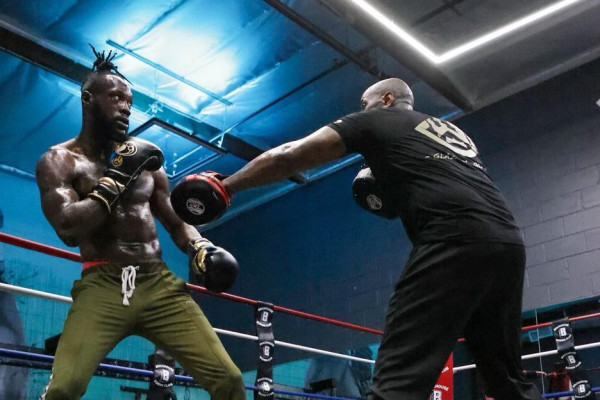 Shelly Finkel Optimistis Deontay Wilder Bakal Hadapi Anthony Joshua di Arab Saudi