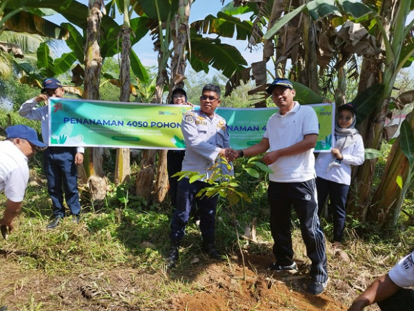 Meriahkan HUT ke-78 RI, ASDP Gelar Aksi Tanam 4.050 Bibit Pohon di Seluruh Cabang