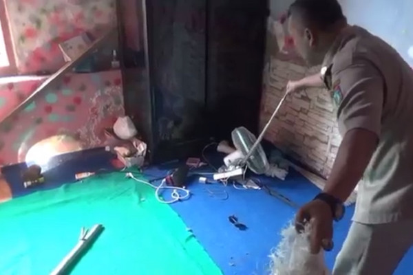 Warga Sumiboto Geger, Tiba-tiba Ular Kayu Muncul di Lemari Baju