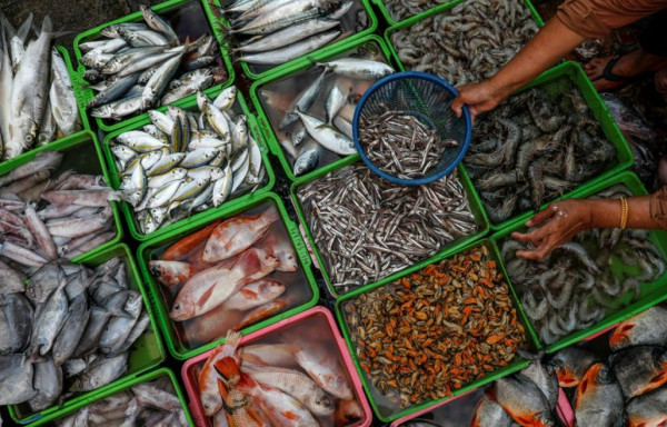 4 Negara yang Konsumsi Ikan Paling Banyak, Semuanya dari Asia