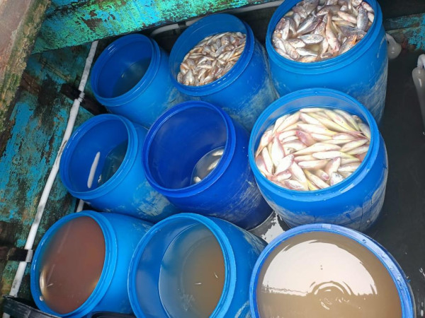 Kado Perayaan HUT Kemerdekaan RI, KKP Tangkap Dua Kapal Ilegal Fishing di Selat Malaka