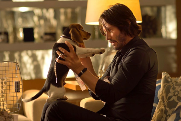 8 Film Action Berbiaya Murah, tapi Cuan Gede di Box Office