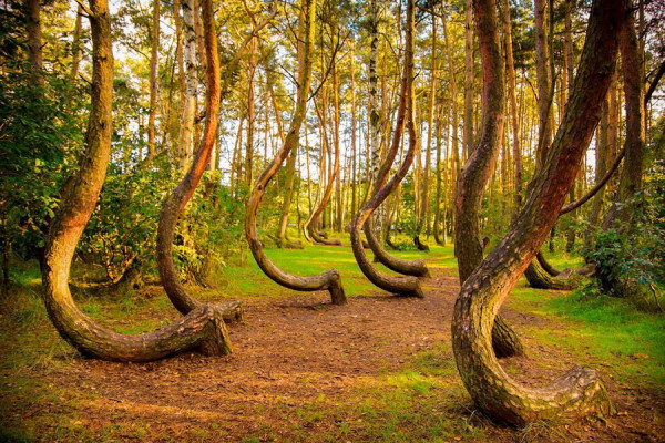 21 Tempat Paling Misterius di Dunia, Banyak yang Dikaitkan dengan Alien
