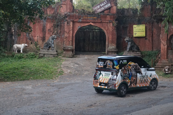 Foto Binatang di Taman Safari Bisa Dapat Mobil Listrik Wuling Air ev, Begini Caranya!