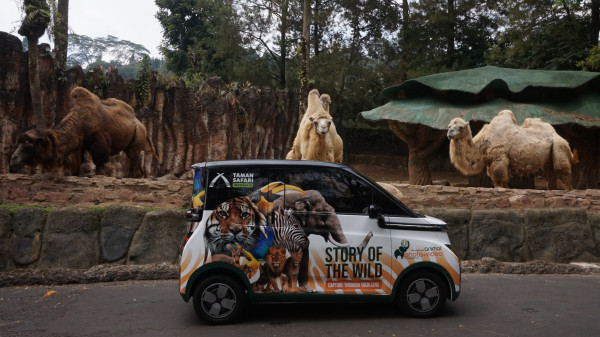Foto Binatang di Taman Safari Bisa Dapat Mobil Listrik Wuling Air ev, Begini Caranya!