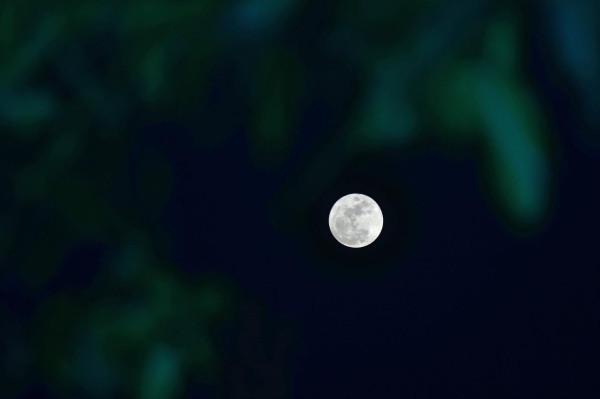 Blue Moon Akan Muncul Rabu 30 Agustus 2023, Apa Istimewanya?