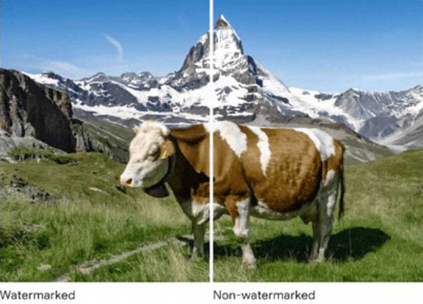 DeepMind Bermitra dengan Google Cloud, Beri Watermark pada Gambar Produk AI