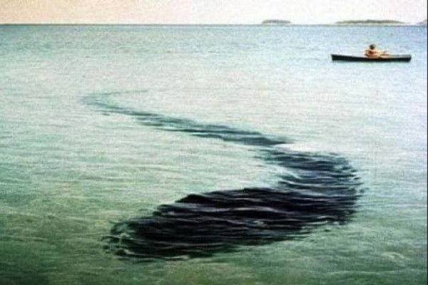 Foto-Foto Misterius dari Seluruh Dunia yang Belum Terpecahkan