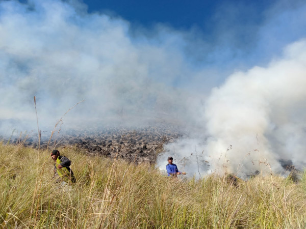 Kebakaran Hutan TNBTS Meluas, 2 Pintu Masuk Gunung Bromo Ditutup