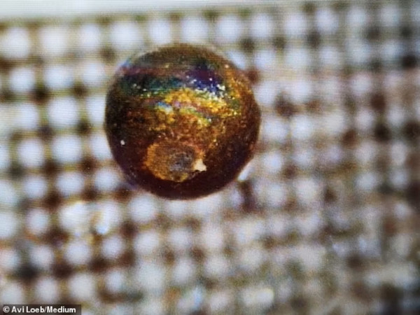Ilmuwan Harvard Butuh Rp22,7 Miliar Ungkap Misteri Peninggalan Alien di Papua