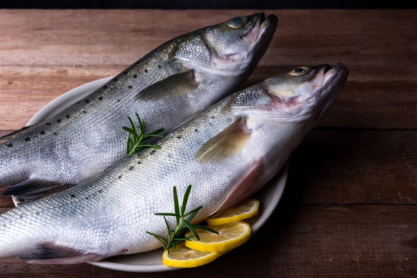 10 Ikan yang Tidak Boleh Dikonsumsi Sembarangan, Bikin Otak dan Saraf Rusak