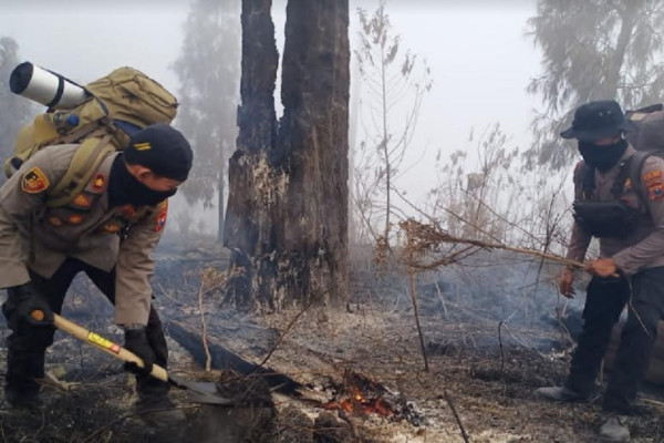 Penampakan Gunung Arjuno Terbakar, Hari Ke-8 Petugas dan Warga Masih Berjibaku Padamkan Api