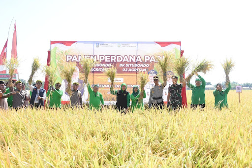 Kembangkan Varietas Unggul Baru Padi untuk Ketahanan Pangan, Pemkab Situbondo Raih Indonesia Awards 2023