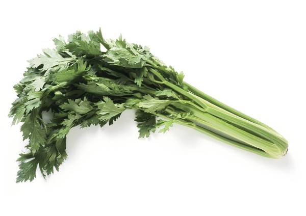 7 Daun yang Bisa Menurunkan Asam Urat dengan Cepat, Nyeri Sendi Langsung Lenyap