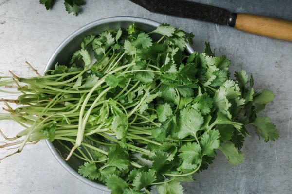 5 Daun yang Cepat Menurunkan Berat Badan dan Cara Menggunakannya