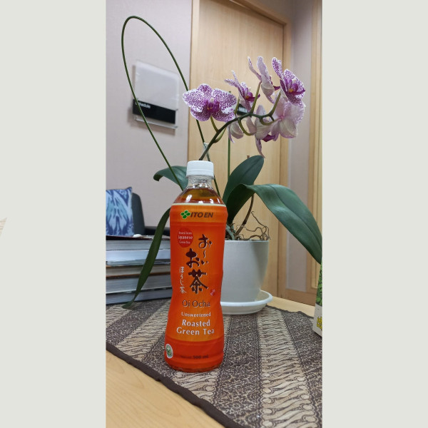 ITO EN Hojicha: Perpaduan Aroma Wangi dan Rasa Otentik Jepang dengan Manfaat Menggiurkan