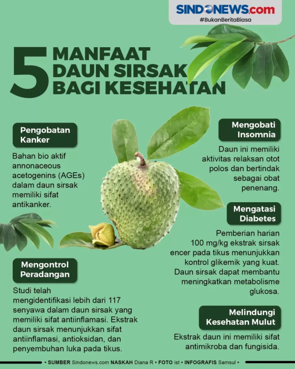 5 Manfaat Air Rebusan Daun Sirsak untuk Kesehatan dan Efek Sampingnya