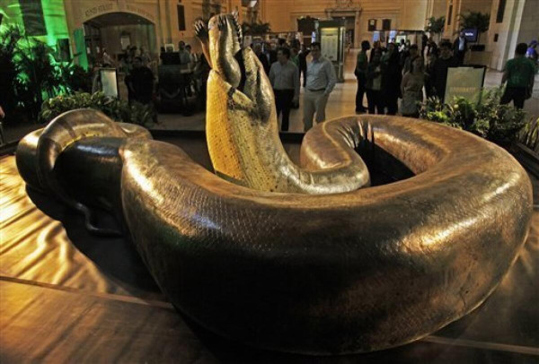 Apa Sih Makanan Ular Raksasa Titanoboa? Jawabannya Bikin Terkejut!