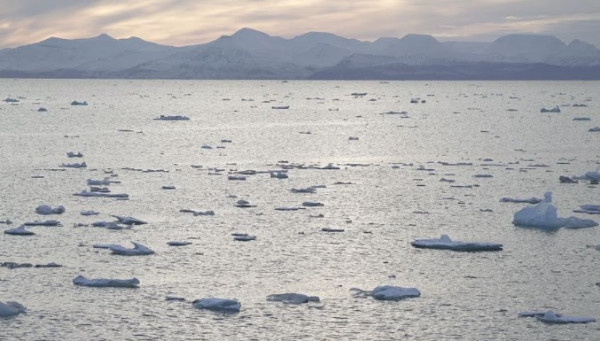 Mengapa Norwegia Menjadi Negara Pertama di Dunia yang Menambang Dasar Laut?