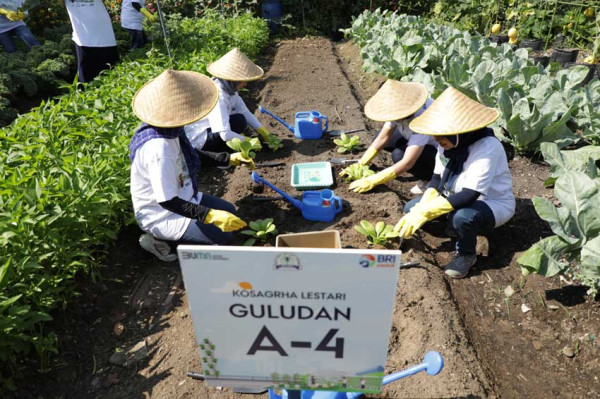 Urban Farming Solusi Bertani di Lahan Sempit dan Padat Penduduk