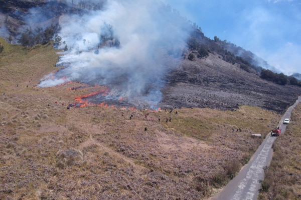 Wow! Flare Prewedding Bakar Savana Gunung Bromo, Biaya Pemadaman Capai Miliaran