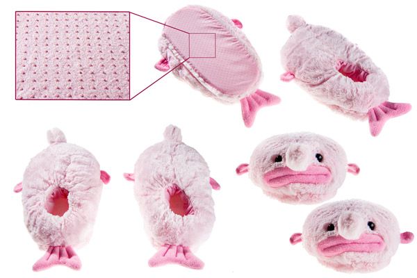 Mengenal Blobfish yang Dijuluki Ikan Terjelek di Dunia