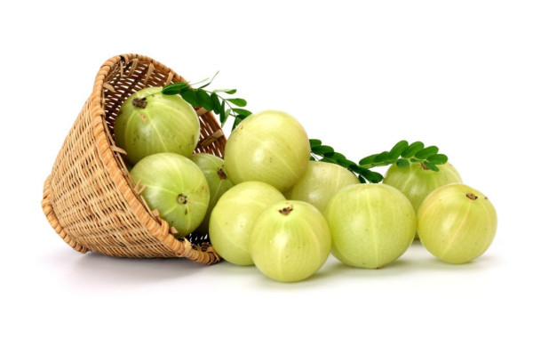 5 Herbal Penurun Gula Darah Tinggi yang Sama Ampuhnya Seperti Obat Diabetes
