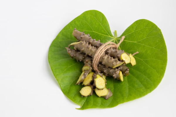 5 Herbal Penurun Gula Darah Tinggi yang Sama Ampuhnya Seperti Obat Diabetes
