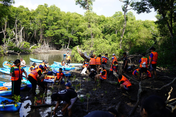 Pelajar Jakarta dan Bali Kolaborasi Donasi, Tanam Ratusan Mangrove
