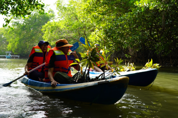 Pelajar Jakarta dan Bali Kolaborasi Donasi, Tanam Ratusan Mangrove