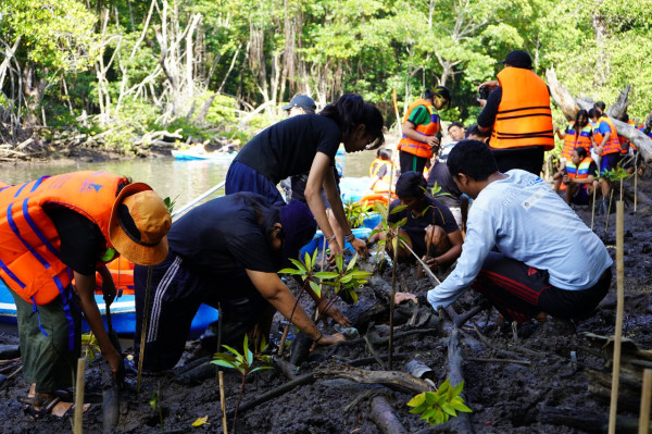 Pelajar Jakarta dan Bali Kolaborasi Donasi, Tanam Ratusan Mangrove