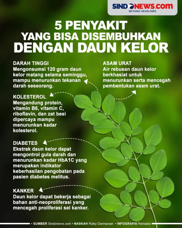 7 Manfaat Rebusan Daun Kemangi untuk Kesehatan, Cegah Kanker hingga Kelola Diabetes
