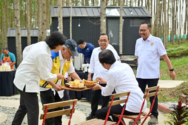 Momen Jokowi Bersama Menteri Menikmati Pemandangan IKN dari Atas Bukit