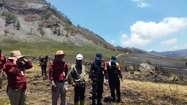 Miris, Perlu 5 Tahun Ekosistem Bromo Benar-benar Pulih Usai Kebakaran Karena Flare
