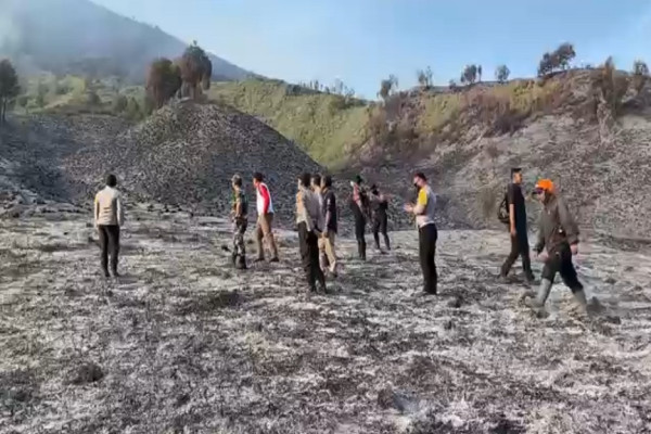 Foto Prewedding Pakai Flare Hanguskan Bromo, Pengacara: Angin Kencang Sebabkan Kebakaran Tak Terkendali
