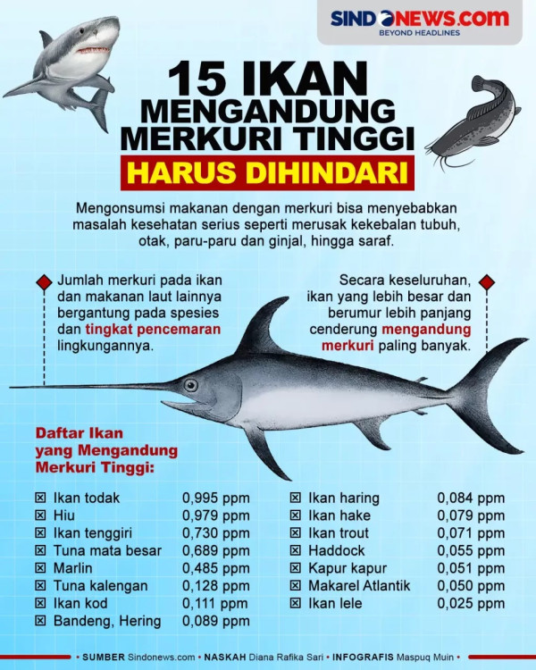 Apakah Semua Ikan Mengandung Merkuri? Ini Batasan Aman Konsumsinya