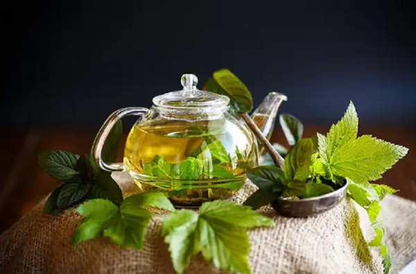 Jarang Diketahui, Ini 5 Tanaman Herbal Khas Rusia yang Banyak Khasiat