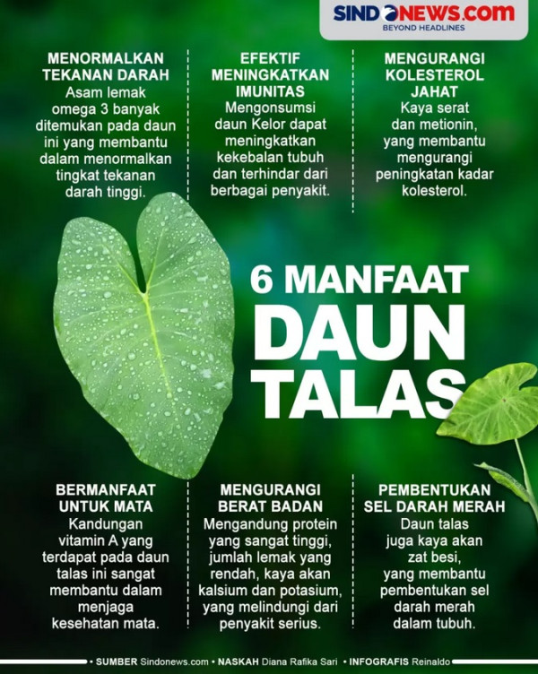 5 Cara Masak Telur yang Tidak Sehat, Salah Satunya Digoreng