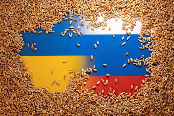 Mengapa Polandia Setop Kirim Senjata ke Ukraina? Ini 3 Alasannya