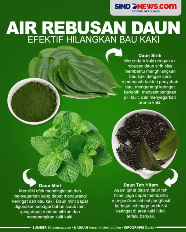6 Manfaat Daun Talas yang Jarang Diketahui dan Cara Mengolahnya