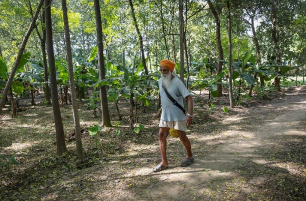 5 Alasan Penganut Sikh di Punjab Khawatir dengan Masa Depan Akibat Pertikaian Kanada-India
