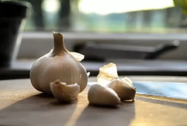 10 Obat Tradisional untuk Menghilangkan Keputihan, Alami dan Mudah Didapat