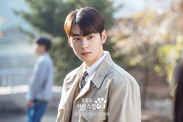 Profil Pemain A Good Day to Be a Dog, Drakor Romantis Terbaru Cha Eun-Woo dan Park Gyu-Young