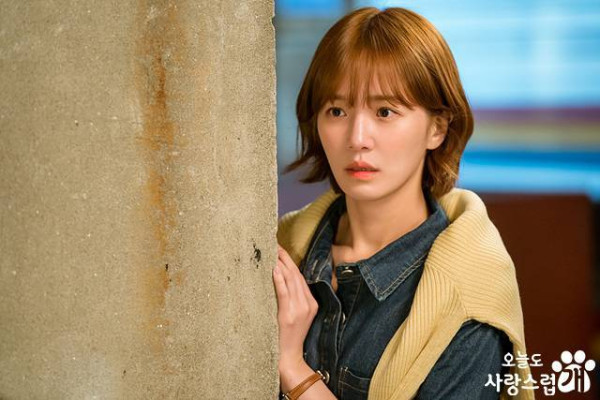 Profil Pemain A Good Day to Be a Dog, Drakor Romantis Terbaru Cha Eun-Woo dan Park Gyu-Young