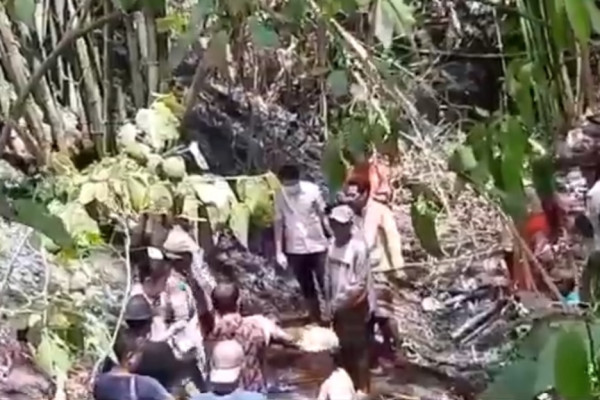 Tragis! Pria di Wajo Ditemukan Tewas Terjebak Kebakaran Kebun Bambu