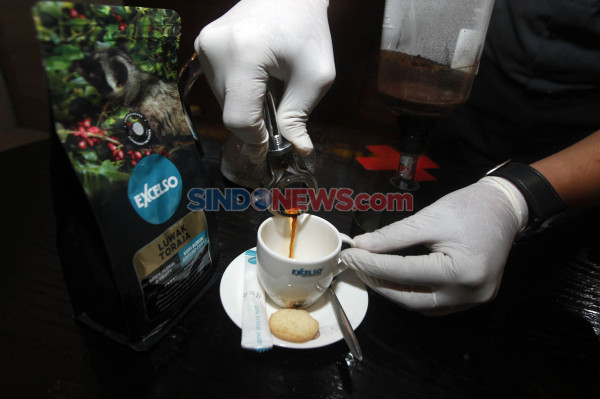 Fakta Menarik Hewan Luwak, Penghasil Kopi Termahal di Dunia