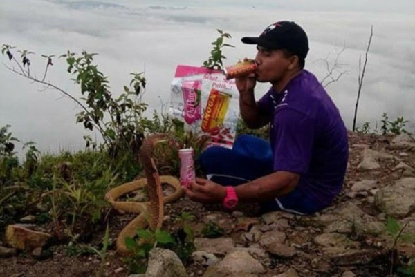 Viral! Pria Thailand Ini Nikahi Ular Kobra Gegara Mirip Pacarnya yang Meninggal