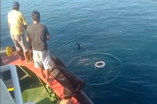 Heboh! Penumpang Lompat ke Laut saat Kapal Hendak Sandar di Pelabuhan Nusantara Parepare